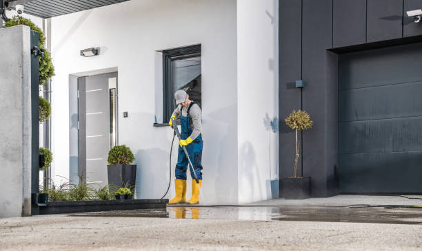 Best Roof Washing  in Billings, MT